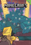 Minecraft #12 - Sfe R Monster - Graphic Novels