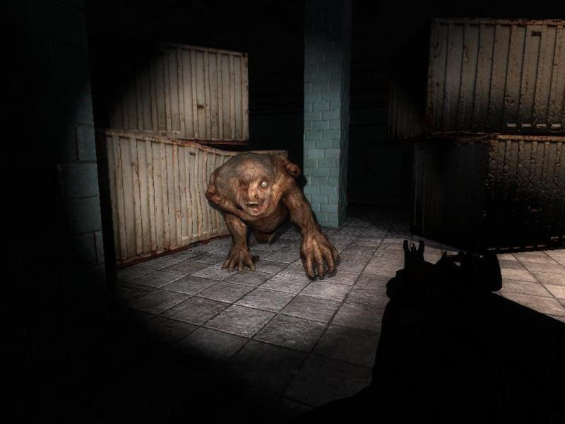 S.T.A.L.K.E.R.: Shadow of Chornobyl PS5 Account PlayStation 5 -  REGION FREE GSC Game World - [Email/Instant Delivery]