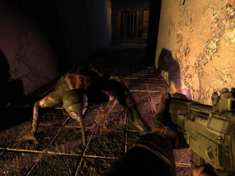 S.T.A.L.K.E.R.: Shadow of Chornobyl PS5 Account PlayStation 5 -  REGION FREE GSC Game World - [Email/Instant Delivery]