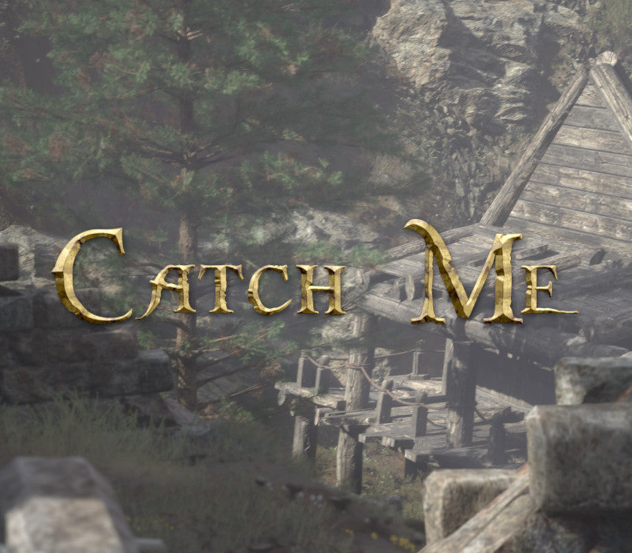 Catch Me (NSFW) PC Steam CD Key  REST OF THE WORLD DWGames - [Email/Instant Delivery]