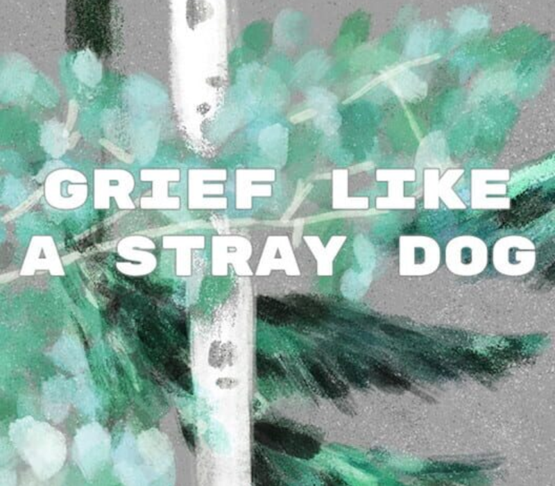 Grief like a stray dog PC Steam CD Key  REGION FREE Rayonist - [Email/Instant Delivery]