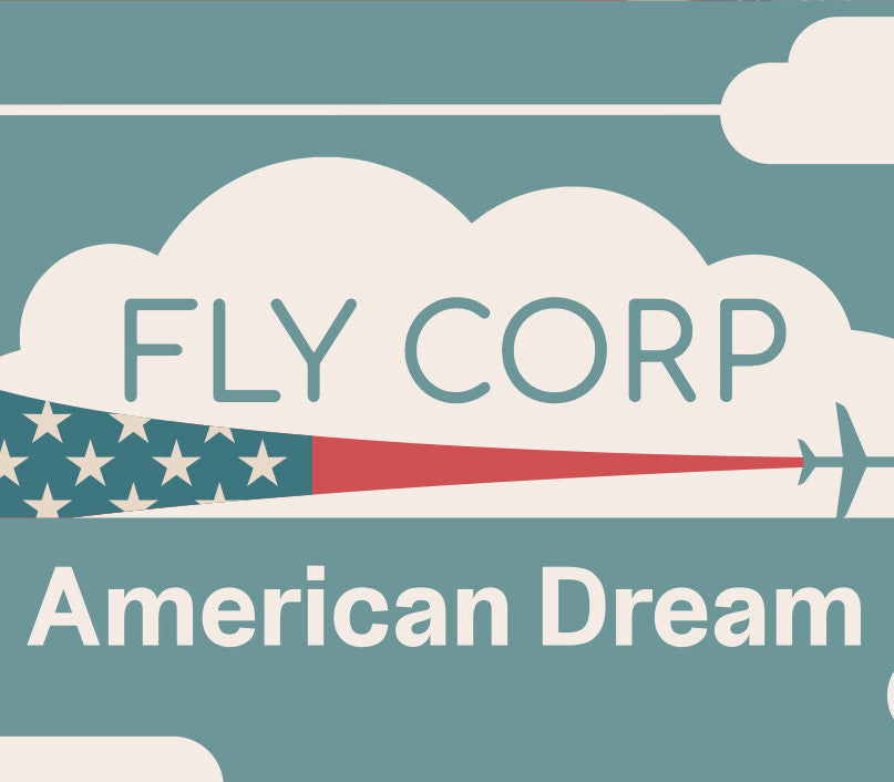 Fly Corp - American Dream DLC PC Steam CD Key  REGION FREE KishMish Games - [Email/Instant Delivery]