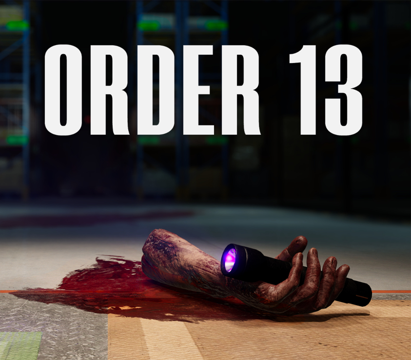 ORDER 13 PC Steam CD Key  REGION FREE Oro Interactive - [Email/Instant Delivery]