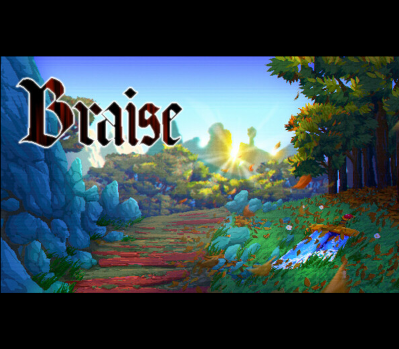 Braise PC Steam CD Key  REGION FREE  [Email/Instant Delivery]