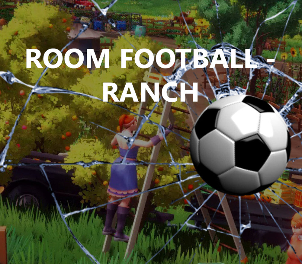 ROOM FOOTBALL: Ranch PC Steam CD Key  REGION FREE hede - [Email/Instant Delivery]