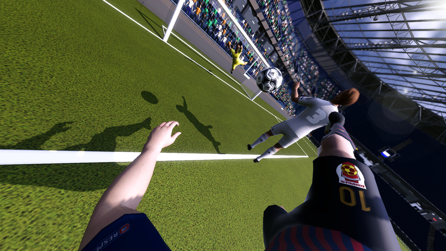 Football Life Simulator PC Steam Account  REGION FREE Ludu Arts - [Email/Instant Delivery]