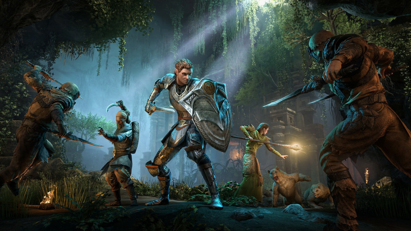 The Elder Scrolls Online: 2025 Premium Edition PC Steam CD Key  REST OF THE WORLD Bethesda Softworks - [Email/Instant Delivery]