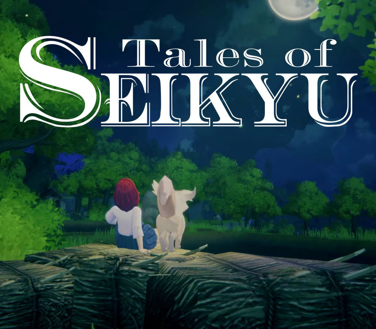 Tales of Seikyu LATAM PC Steam CD Key  AMERICAS ACE Entertainment - [Email/Instant Delivery]