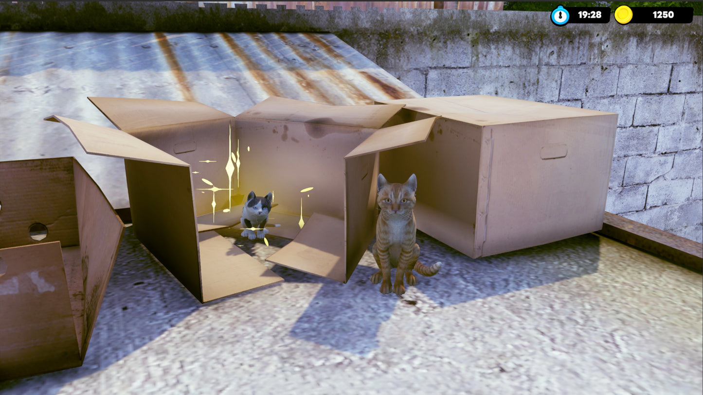 Little Strays: Beyond Havana Bundle XBOX One / Xbox Series X|S Account Xbox One -  REGION FREE COMMANDO PANDA - [Email/Instant Delivery]