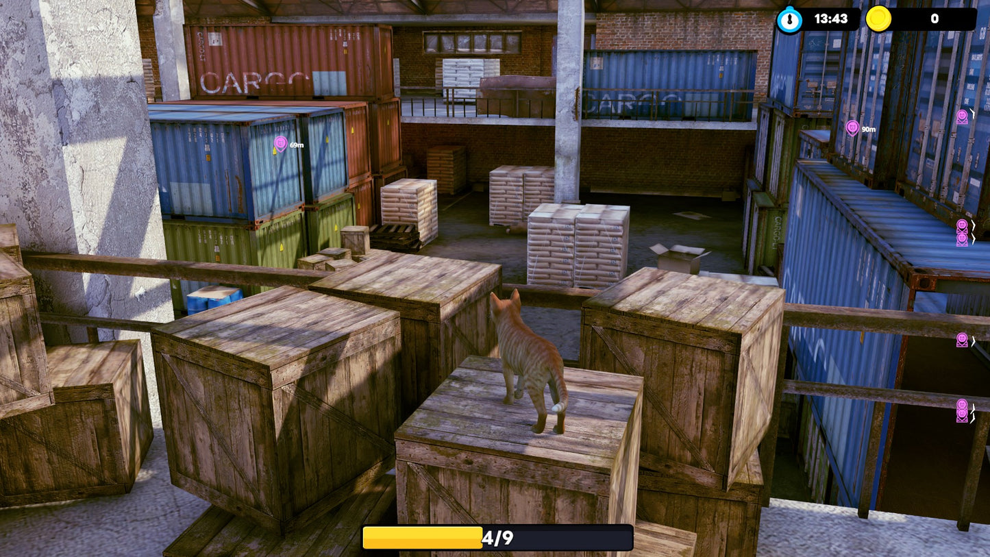 Little Strays: Beyond Havana Bundle XBOX One / Xbox Series X|S Account Xbox One -  REGION FREE COMMANDO PANDA - [Email/Instant Delivery]