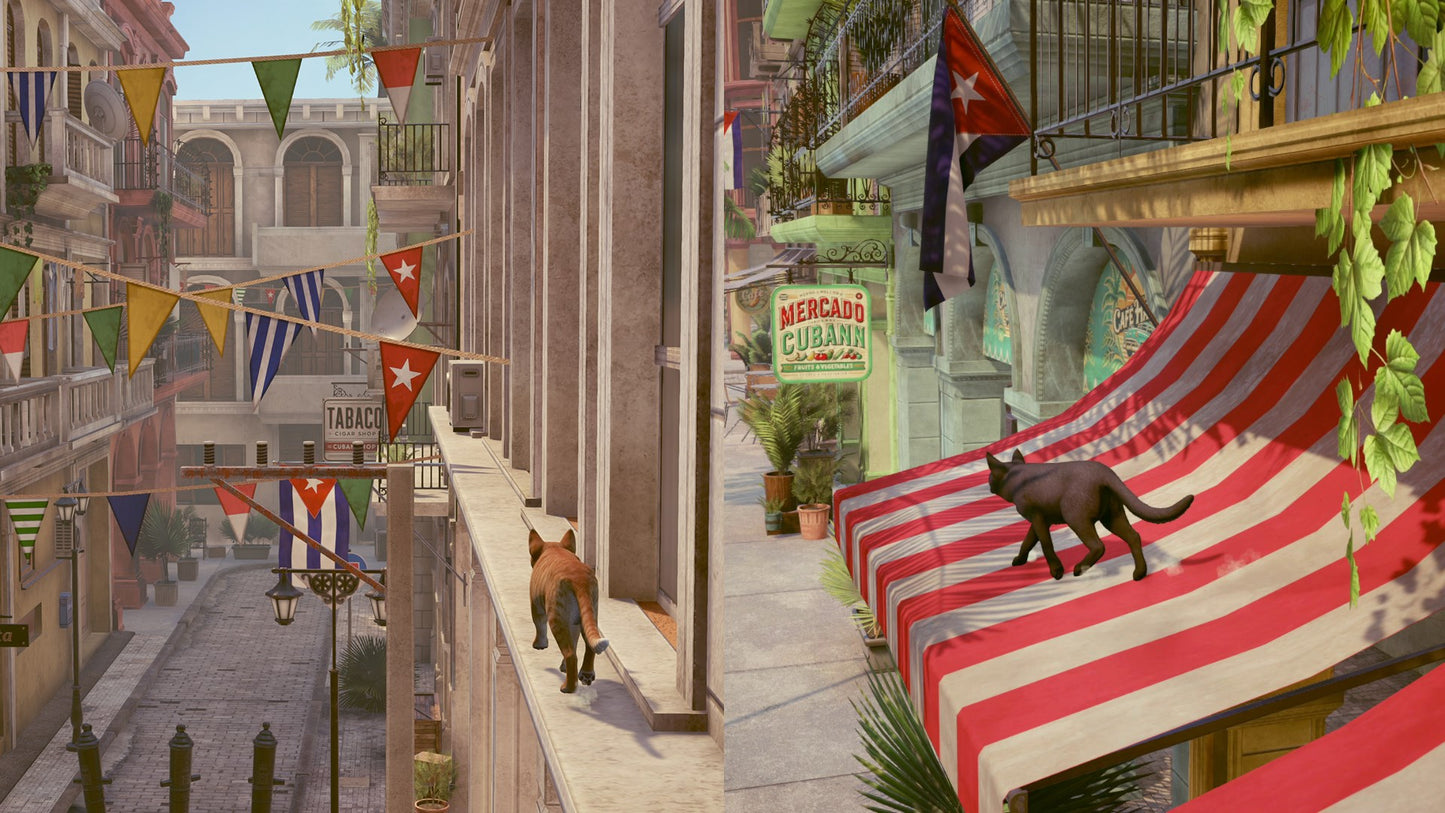 Little Strays: Beyond Havana Bundle XBOX One / Xbox Series X|S Account Xbox One -  REGION FREE COMMANDO PANDA - [Email/Instant Delivery]
