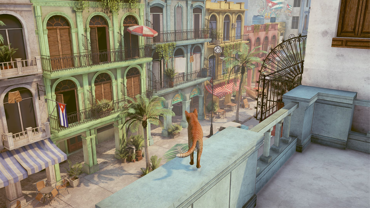 Little Strays: Beyond Havana Bundle XBOX One / Xbox Series X|S Account Xbox One -  REGION FREE COMMANDO PANDA - [Email/Instant Delivery]