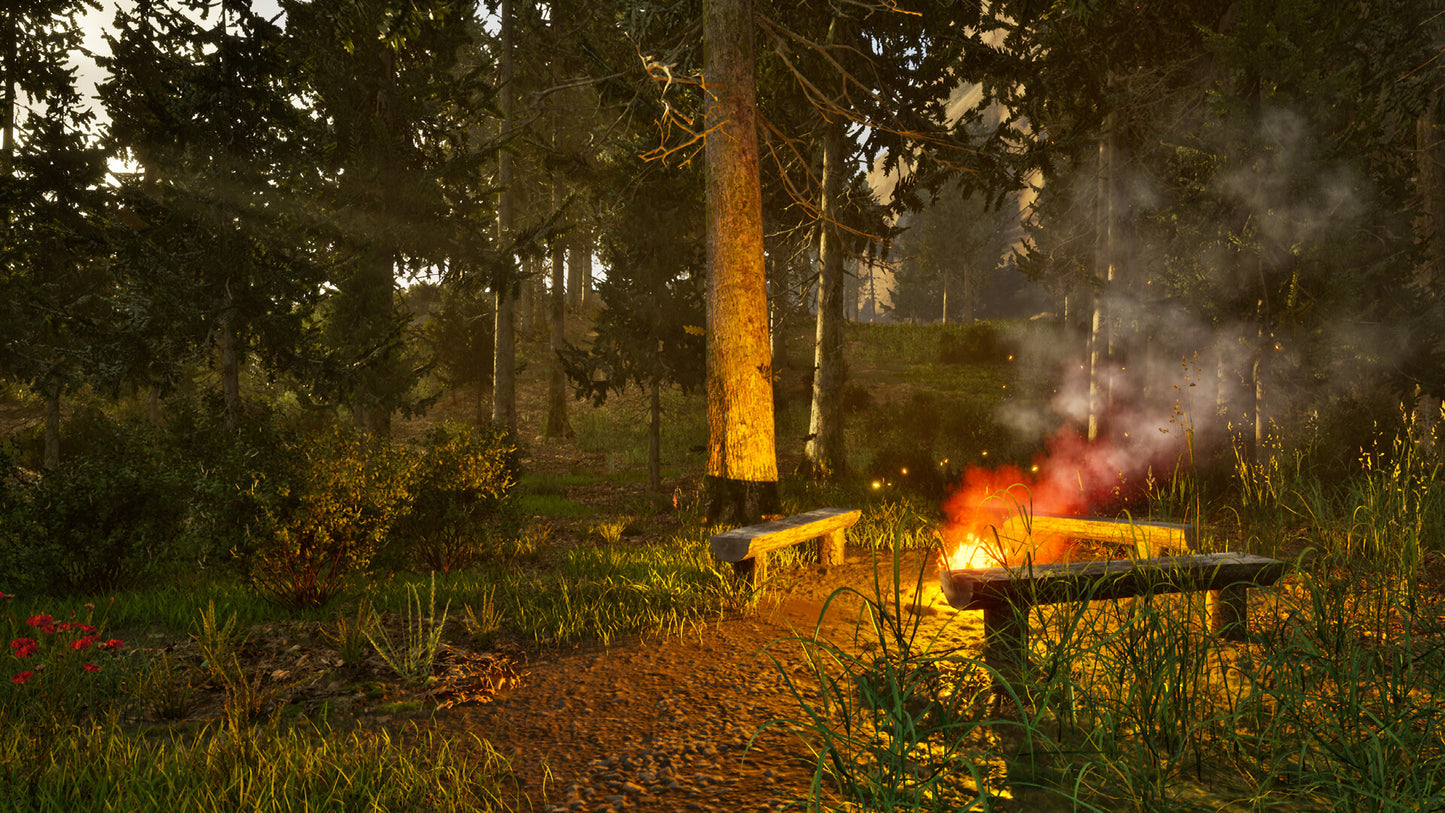 Park Ranger Simulator PC Steam CD Key  REGION FREE Aerosoft GmbH - [Email/Instant Delivery]
