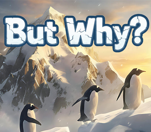 But Why? PC Steam CD Key  REGION FREE Perspektik - [Email/Instant Delivery]