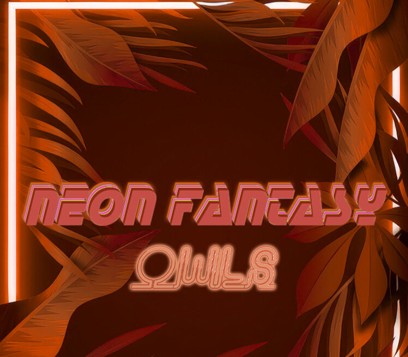 Neon Fantasy: Owls PC Steam CD Key  REGION FREE Quantum Quiver Games - [Email/Instant Delivery]