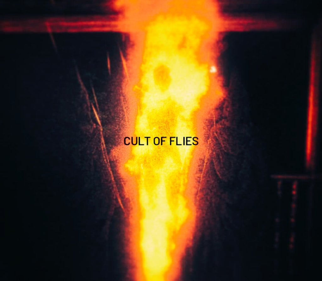 CULT OF FLIES PC Steam CD Key  REGION FREE Alexander Wiseman - [Email/Instant Delivery]