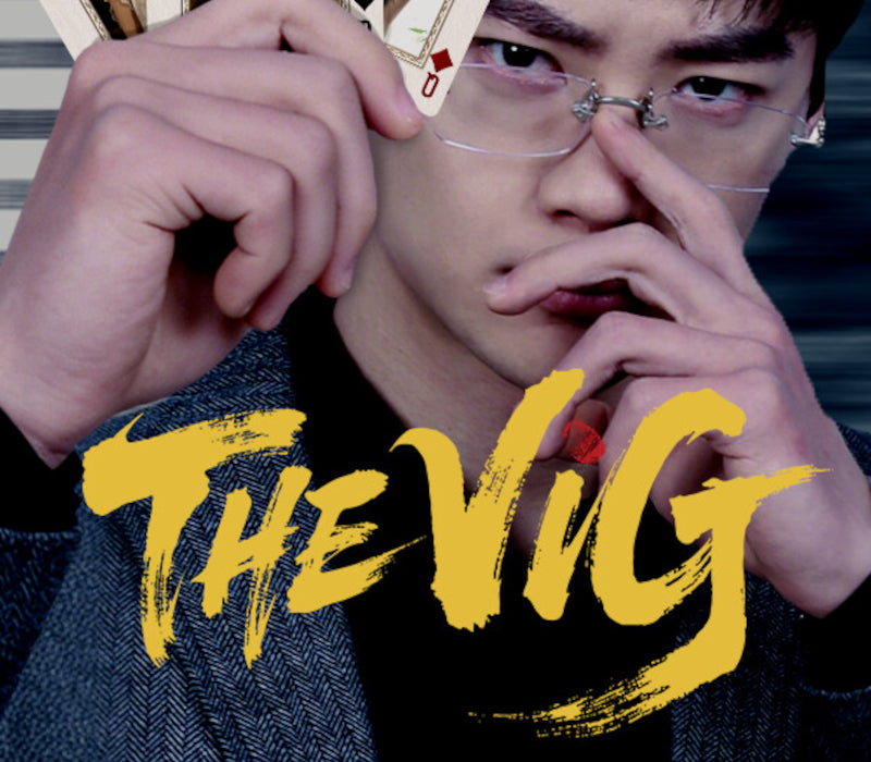 THE VIG PC Steam CD Key  REGION FREE 亦盈文化 - [Email/Instant Delivery]