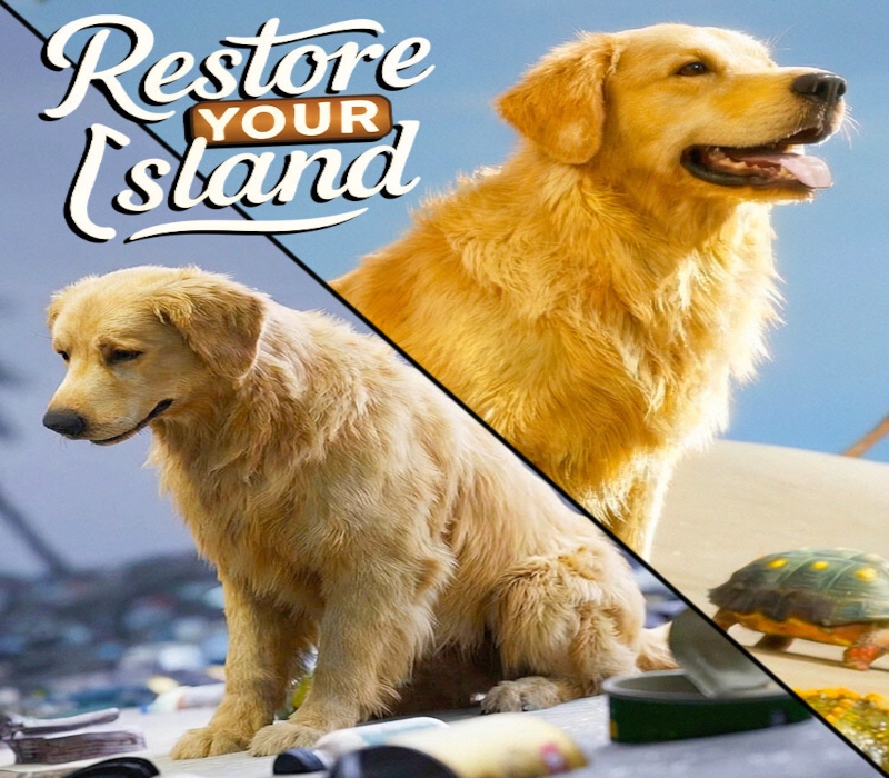 Restore Your Island PC Steam CD Key  REGION FREE Paiband Game Studio - [Email/Instant Delivery]