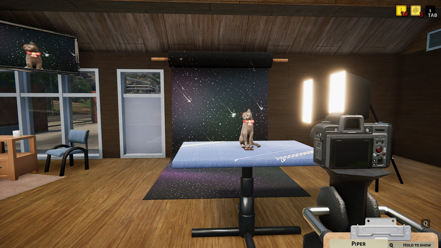 Animal Shelter (PC) - Steam Key - GLOBAL   - PlayWay [Email/Instant Delivery]