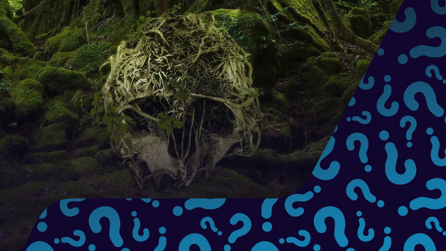 Try to get The Forest - Random 1 Key (PC) - Steam Key - GLOBAL  [Email/Instant Delivery]
