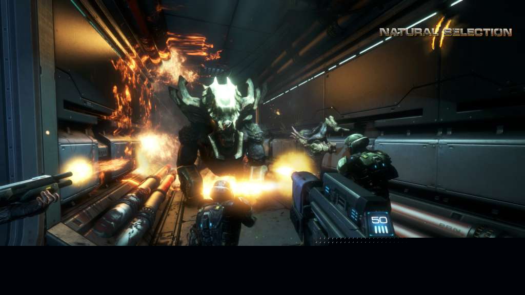 Natural Selection 2 Steam Gift  REGION FREE Unknown Worlds Entertainment - [Email/Instant Delivery]