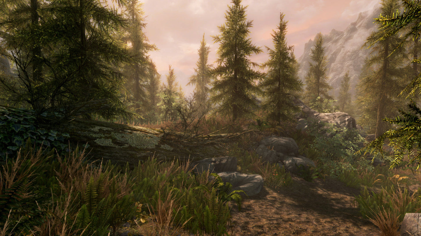 The Elder Scrolls V: Skyrim - Legendary Edition Steam Key EUROPE   - Bethesda Softworks [Email/Instant Delivery]