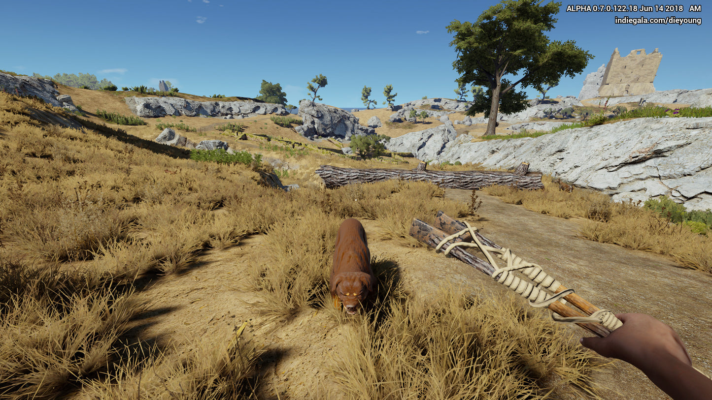 Die Young (PC) - Steam Key - EUROPE   - IndieGala [Email/Instant Delivery]