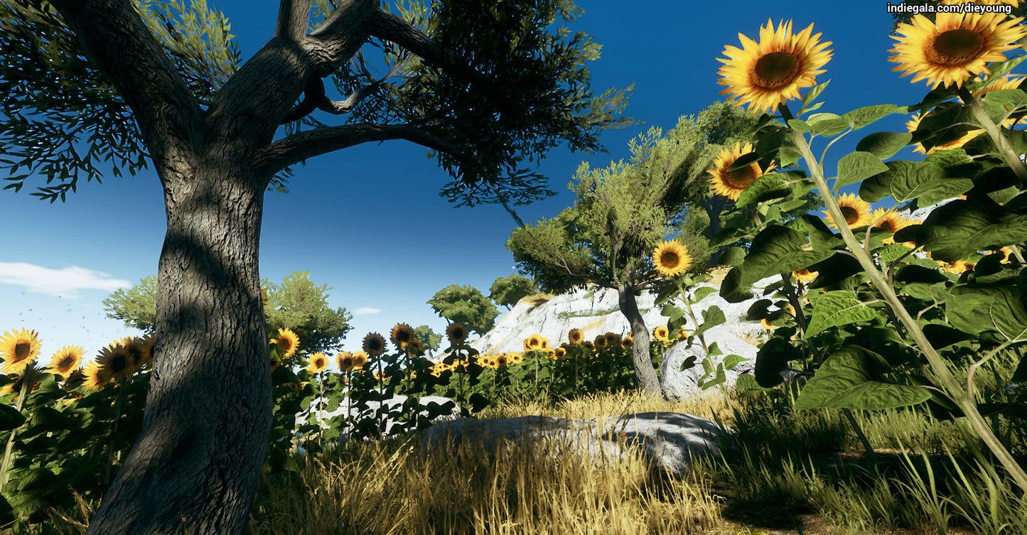 Die Young (PC) - Steam Key - EUROPE   - IndieGala [Email/Instant Delivery]