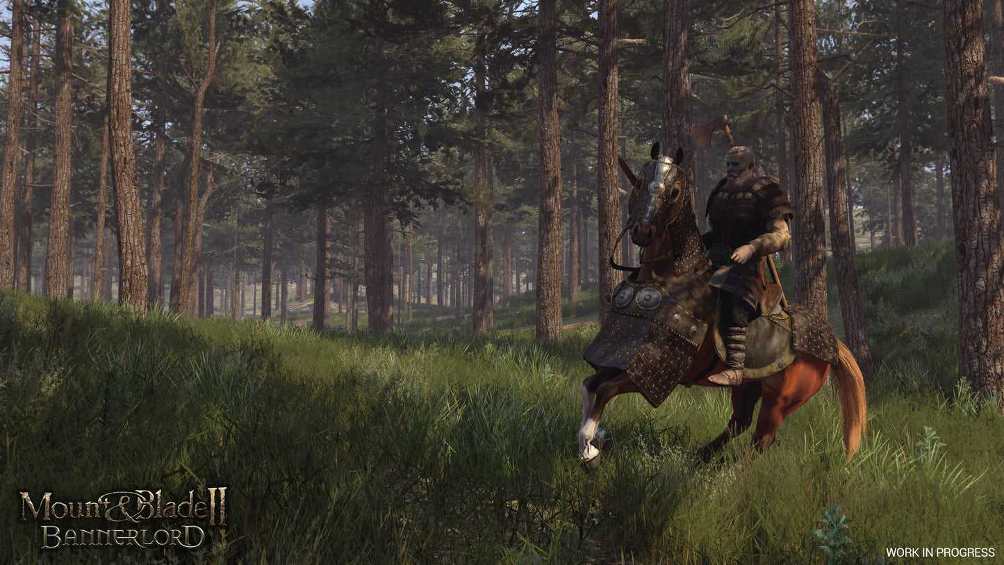 Mount & Blade II: Bannerlord (PC) - Steam Key - UNITED STATES   - Steam [Email/Instant Delivery]