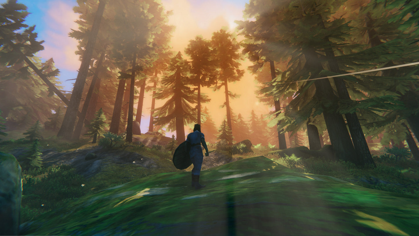 Valheim (PC) - Steam Key - EUROPE   - Steam [Email/Instant Delivery]