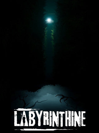 Labyrinthine (PC) - Steam Key - GLOBAL   - Steam [Email/Instant Delivery]