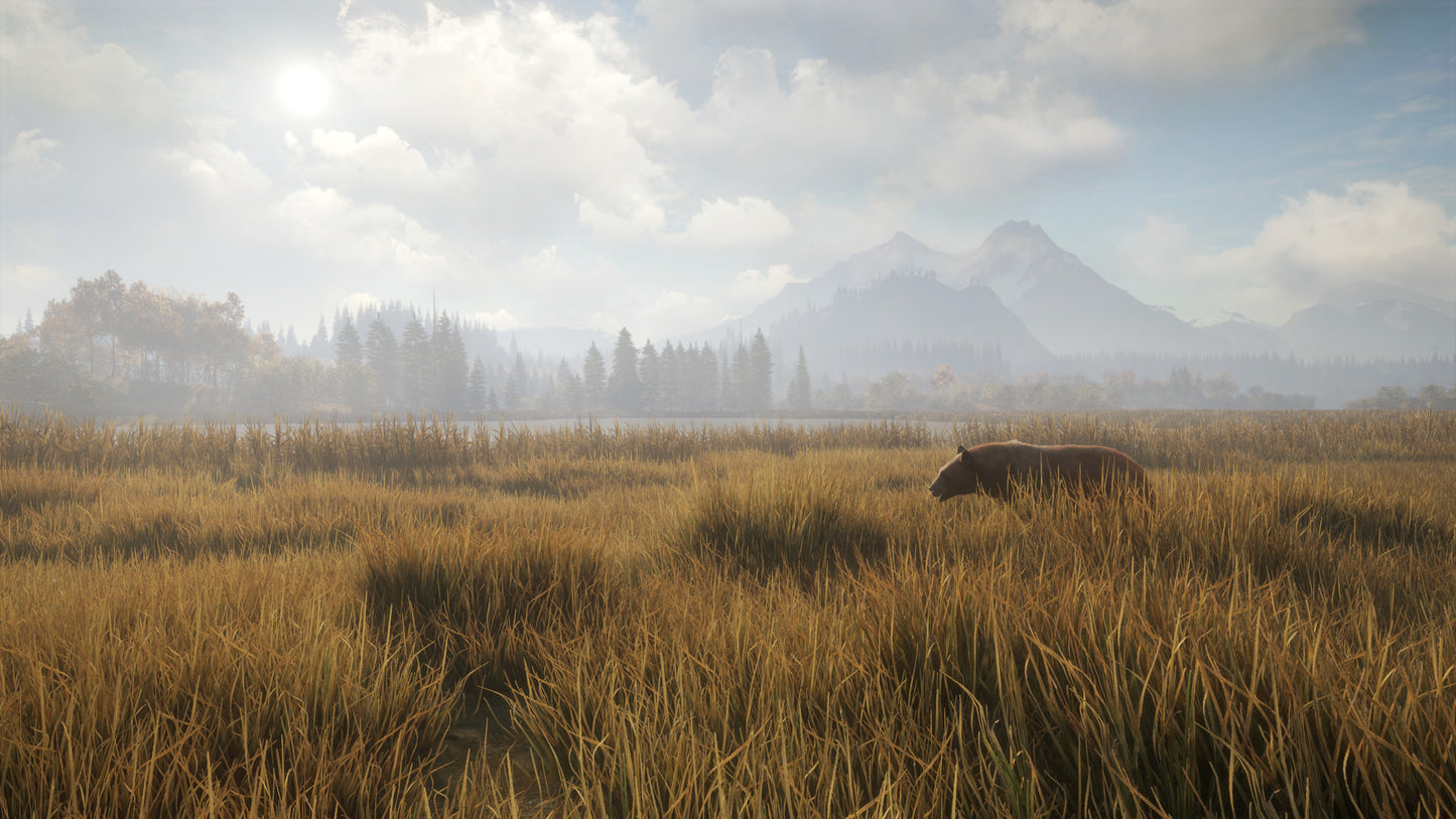 theHunter: Call of the Wild - Starter Bundle (PC) - Steam Key - GLOBAL   - Steam [Email/Instant Delivery]