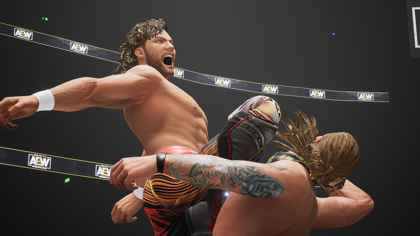 AEW: Fight Forever | Elite Edition (PC) - Steam Key - GLOBAL   - Steam [Email/Instant Delivery]