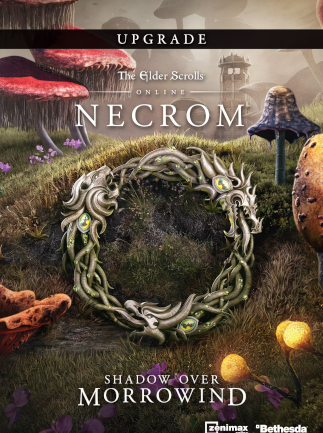 The Elder Scrolls Online Upgrade: Necrom (PC) - TESO Key - GLOBAL   - PC [Email/Instant Delivery]