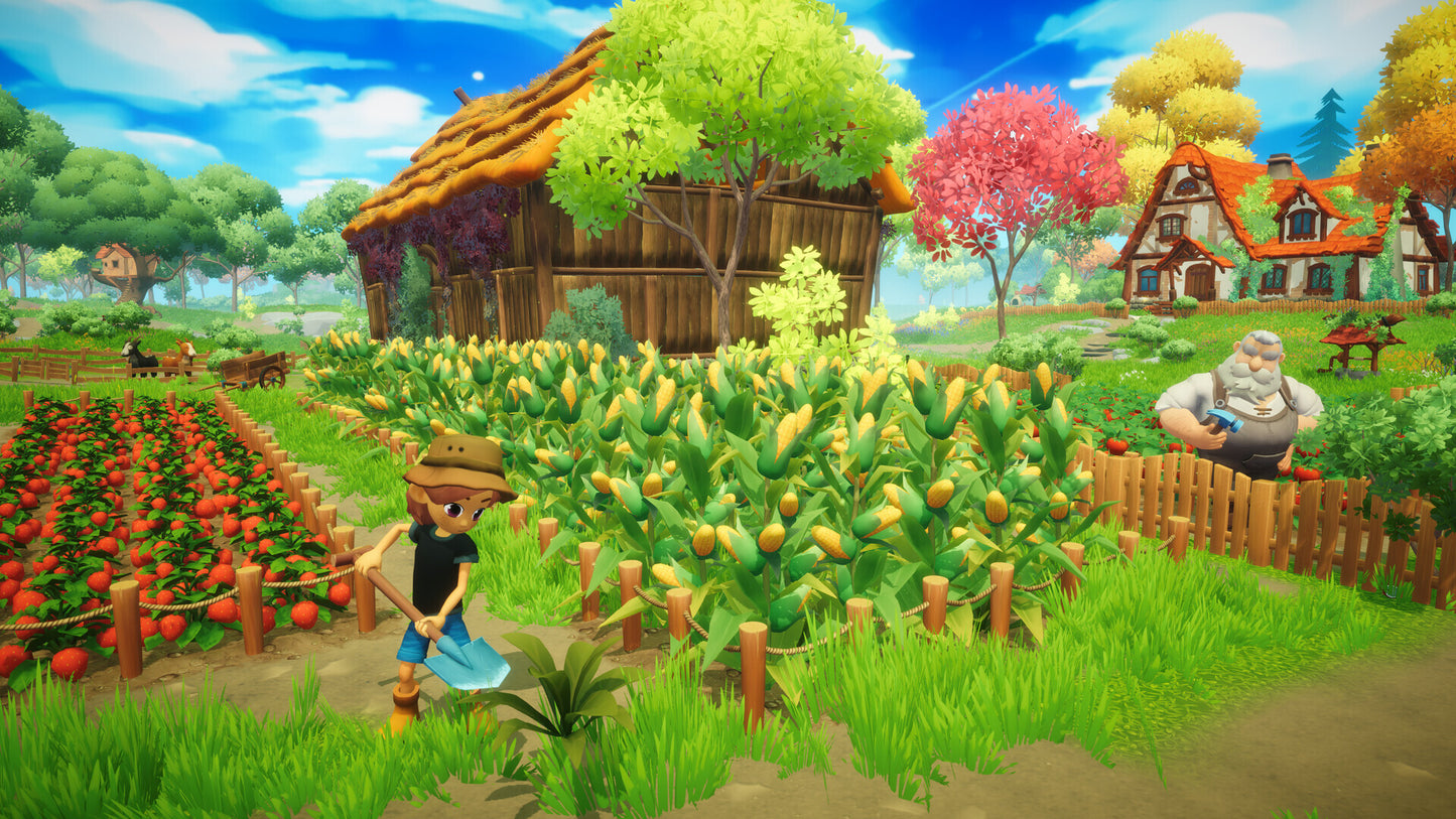 Everdream Valley (PC) - Steam Key - GLOBAL   - Steam [Email/Instant Delivery]