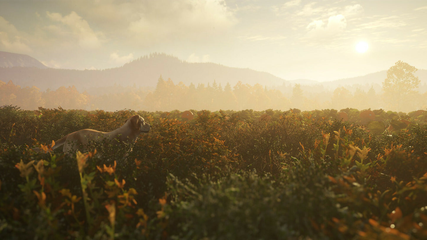 theHunter: Call of the Wild - Labrador Retriever (PC) - Steam Key - GLOBAL   - Steam [Email/Instant Delivery]