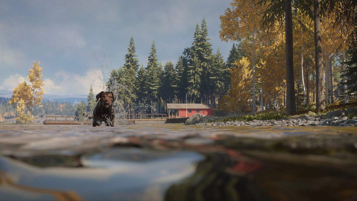 theHunter: Call of the Wild - Labrador Retriever (PC) - Steam Key - GLOBAL   - Steam [Email/Instant Delivery]