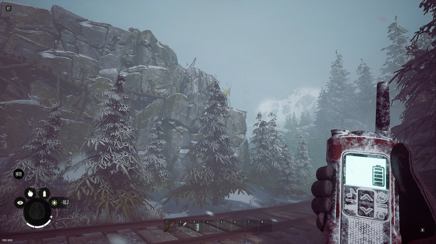 Winter Survival (PC) - Steam Key - GLOBAL   - Drago Entertainment [Email/Instant Delivery]