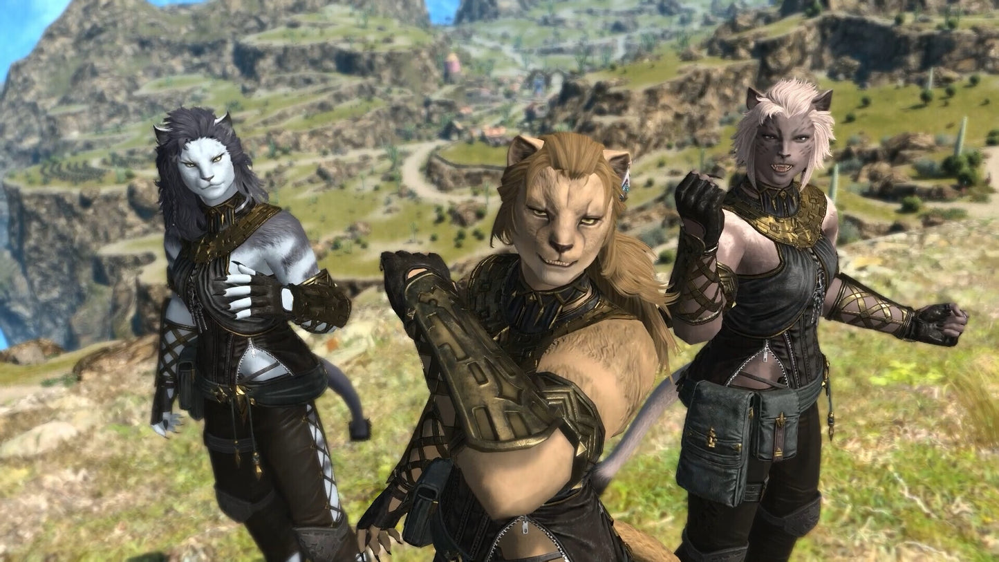 Final Fantasy XIV: Dawntrail (PC) - Final Fantasy Key - NORTH AMERICA   - SQUARE ENIX [Email/Instant Delivery]