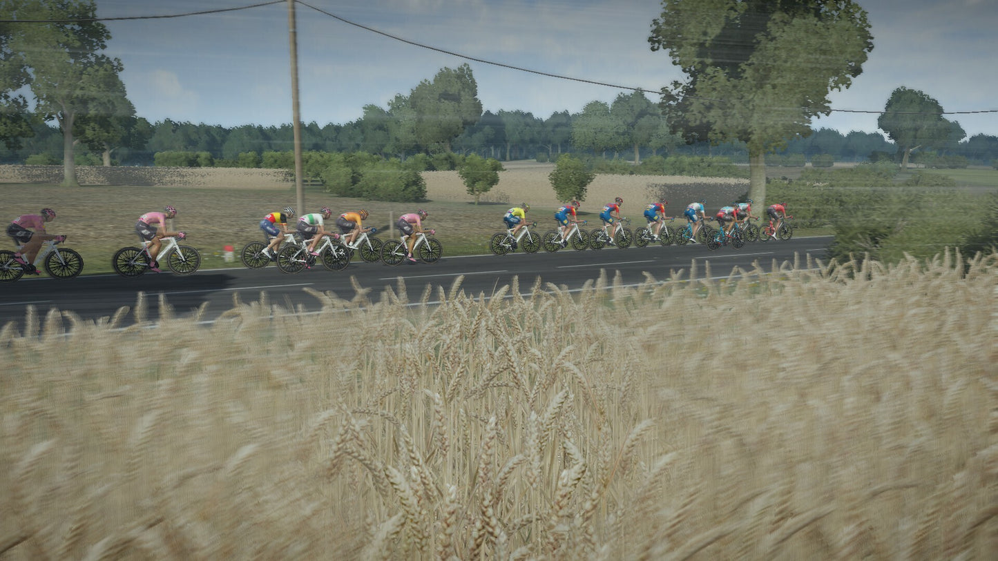 Tour de France 2024 (PC) - Steam Key - GLOBAL   - Steam [Email/Instant Delivery]