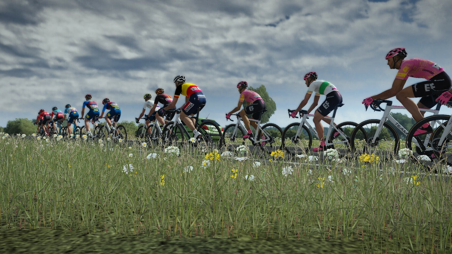 Tour de France 2024 (PC) - Steam Key - EUROPE   - Nacon [Email/Instant Delivery]