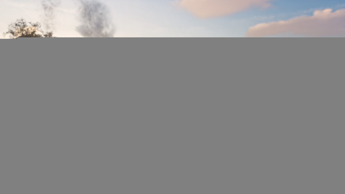 Bellwright (PC) - Steam Account - GLOBAL Steam - PC -  - Donkey Crew [Email/Instant Delivery]