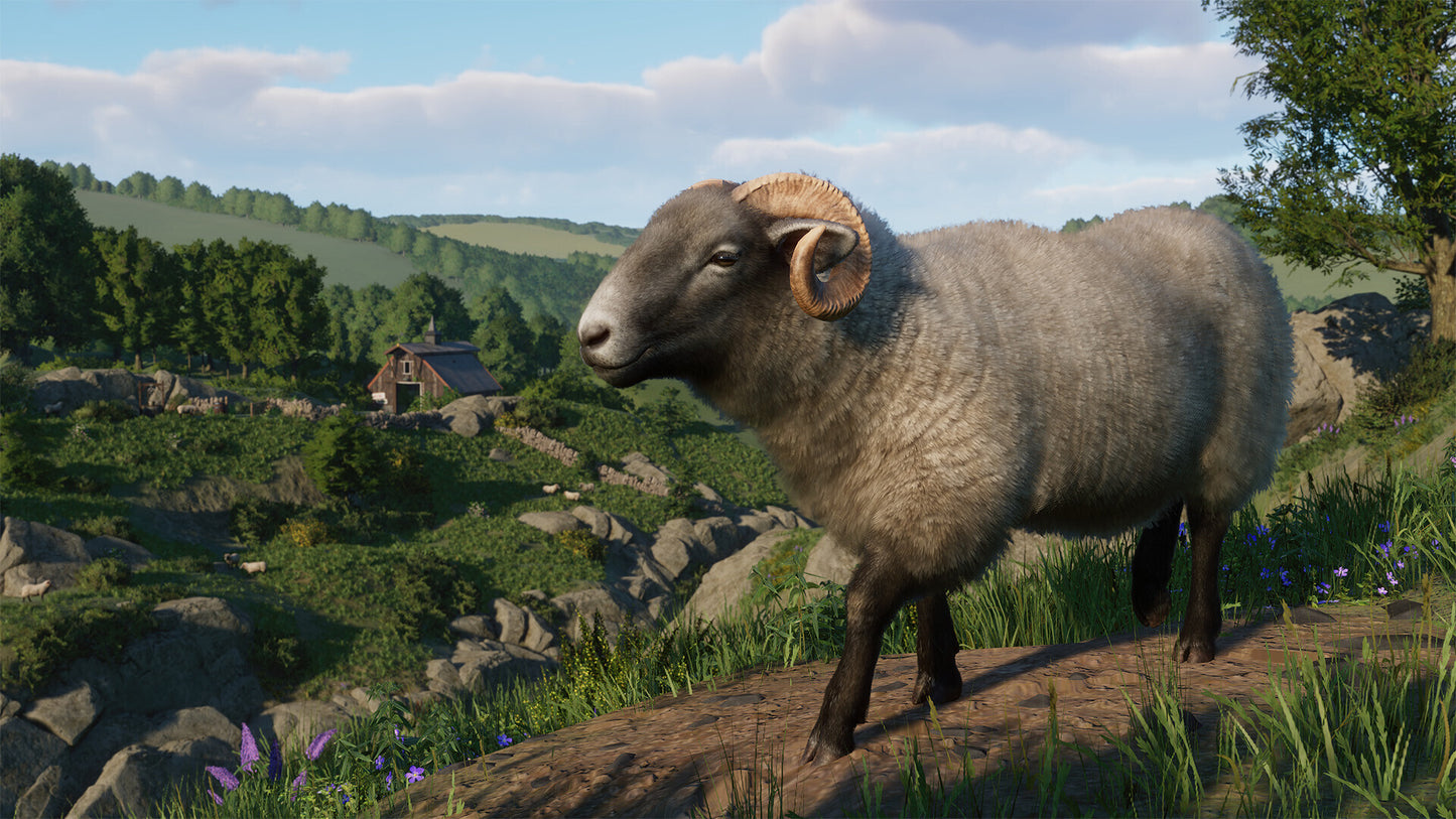 Planet Zoo: Barnyard Animal Pack (PC) - Steam Key - GLOBAL   - Steam [Email/Instant Delivery]