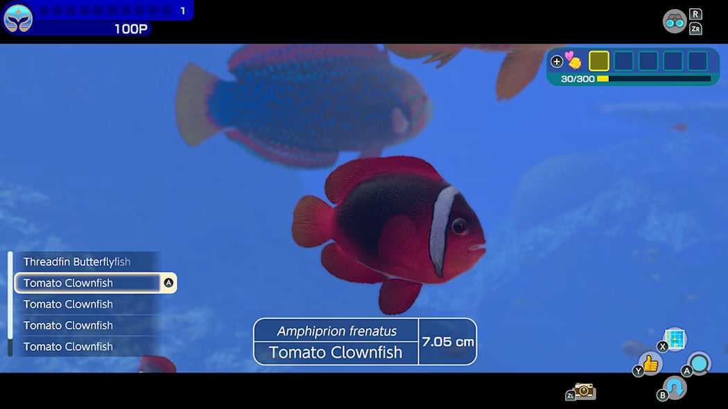 Endless Ocean: Luminous (Nintendo Switch) - Nintendo eShop Key - UNITED STATES   - Nintendo [Email/Instant Delivery]