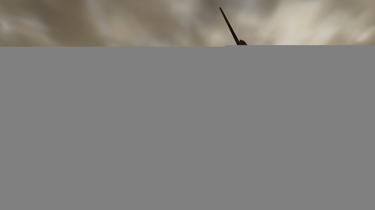 Monster Hunter Wilds (PC) - Steam Account - GLOBAL   - CAPCOM [Email/Instant Delivery]