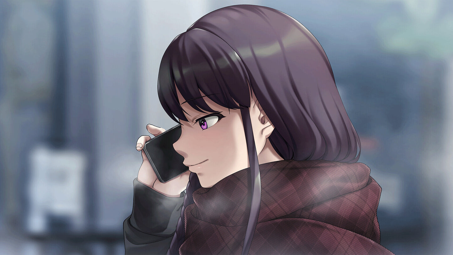 Liminal Border Part IV (PC) - Steam Key - GLOBAL   - Shiravune [Email/Instant Delivery]