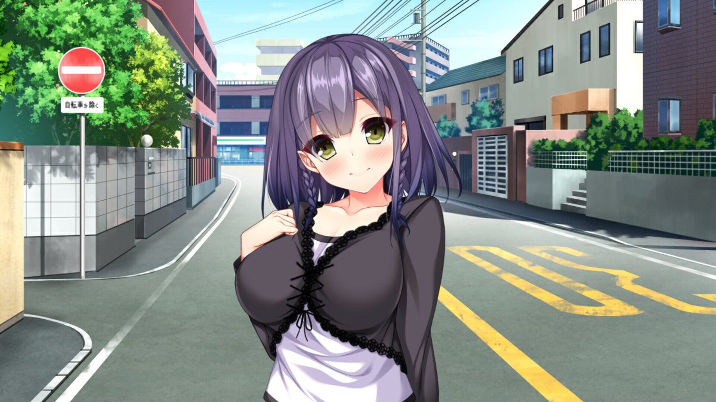 Real Anime Situation! DT (PC) - Steam Key - GLOBAL   - Shiravune [Email/Instant Delivery]