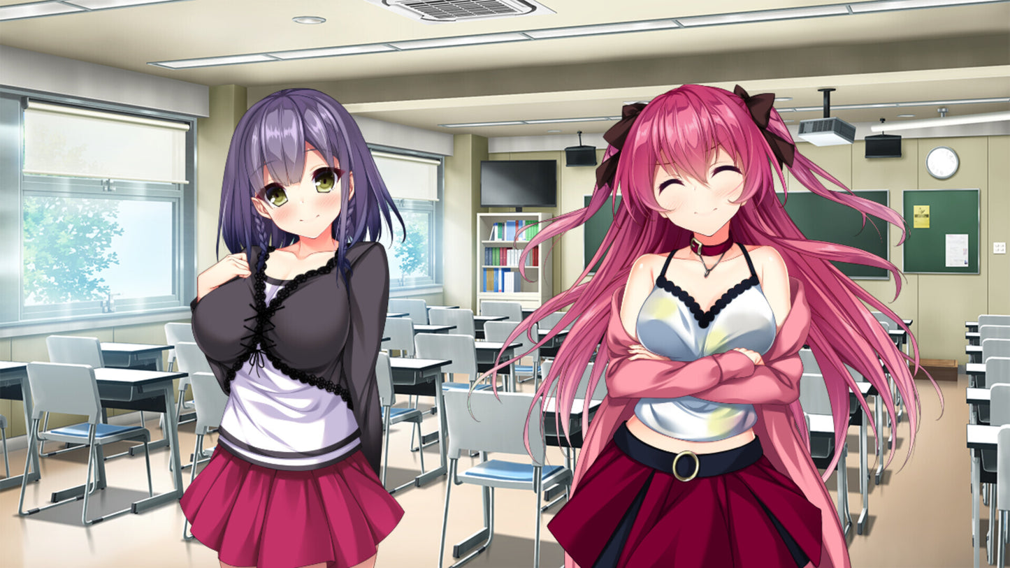 Real Anime Situation! DT (PC) - Steam Key - GLOBAL   - Shiravune [Email/Instant Delivery]
