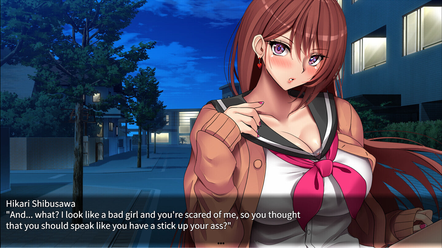 Succubers! Dark Covenant (PC) - Steam Key - GLOBAL   - Shiravune [Email/Instant Delivery]