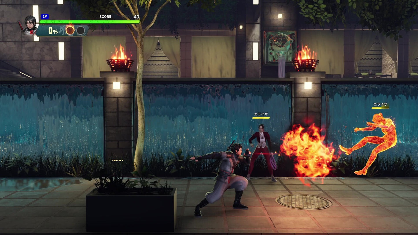 Double Dragon Revive (PC) - Steam Key - GLOBAL   - Arc System Works [Email/Instant Delivery]
